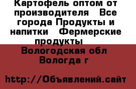 Картофель оптом от производителя - Все города Продукты и напитки » Фермерские продукты   . Вологодская обл.,Вологда г.